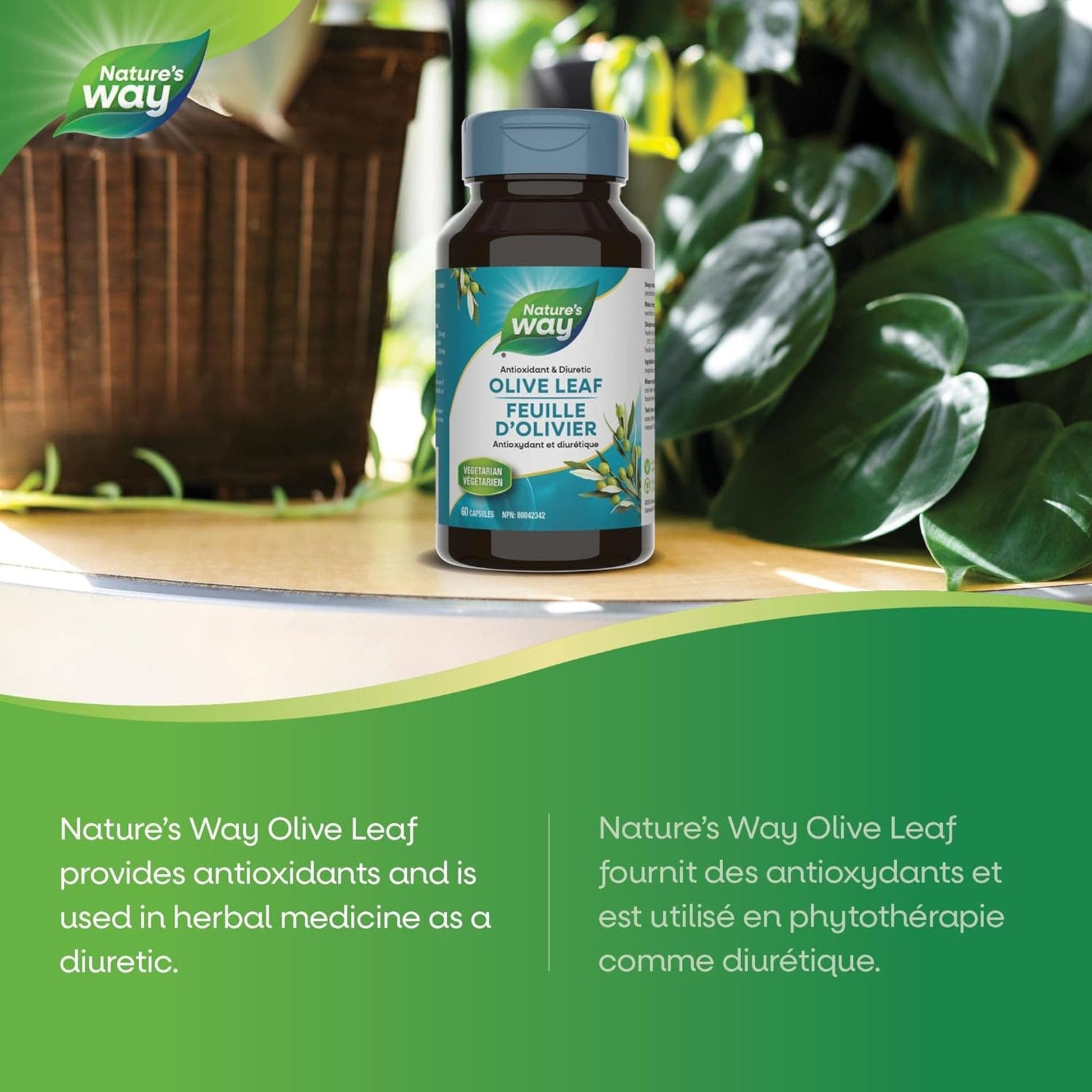 100 Vegetable Capsules | Natures's Way Olive Leaf