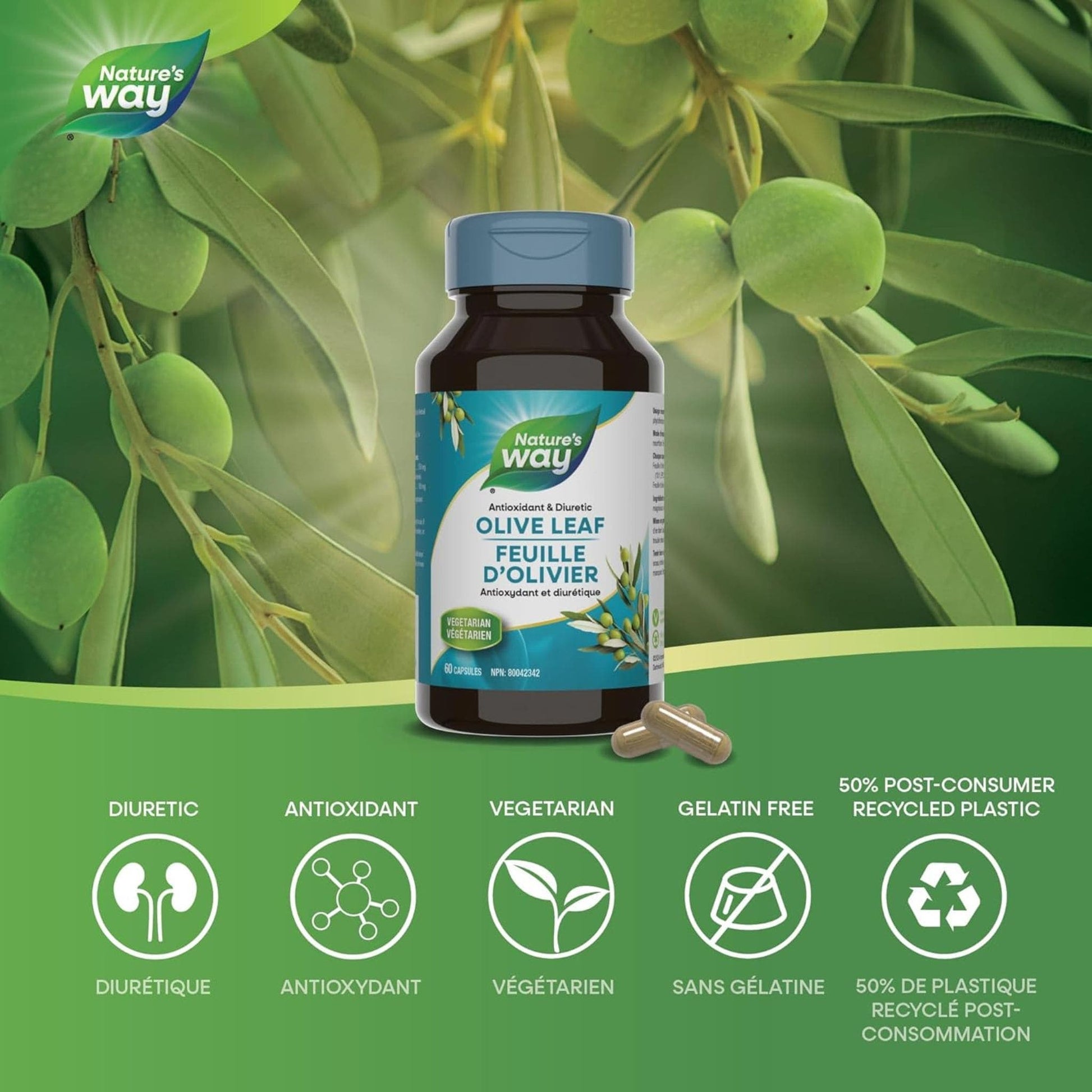 100 Vegetable Capsules | Natures's Way Olive Leaf