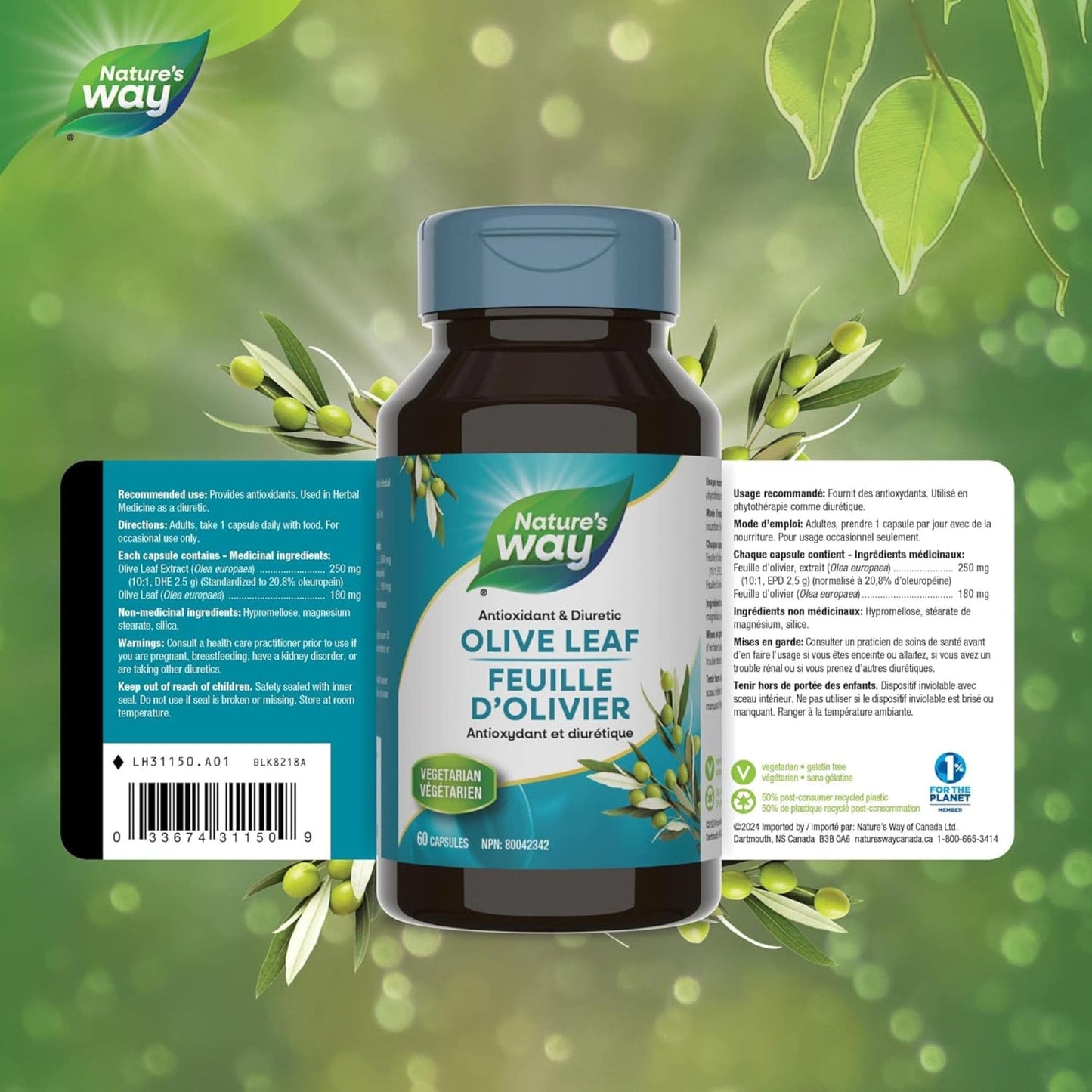 100 Vegetable Capsules | Natures's Way Olive Leaf