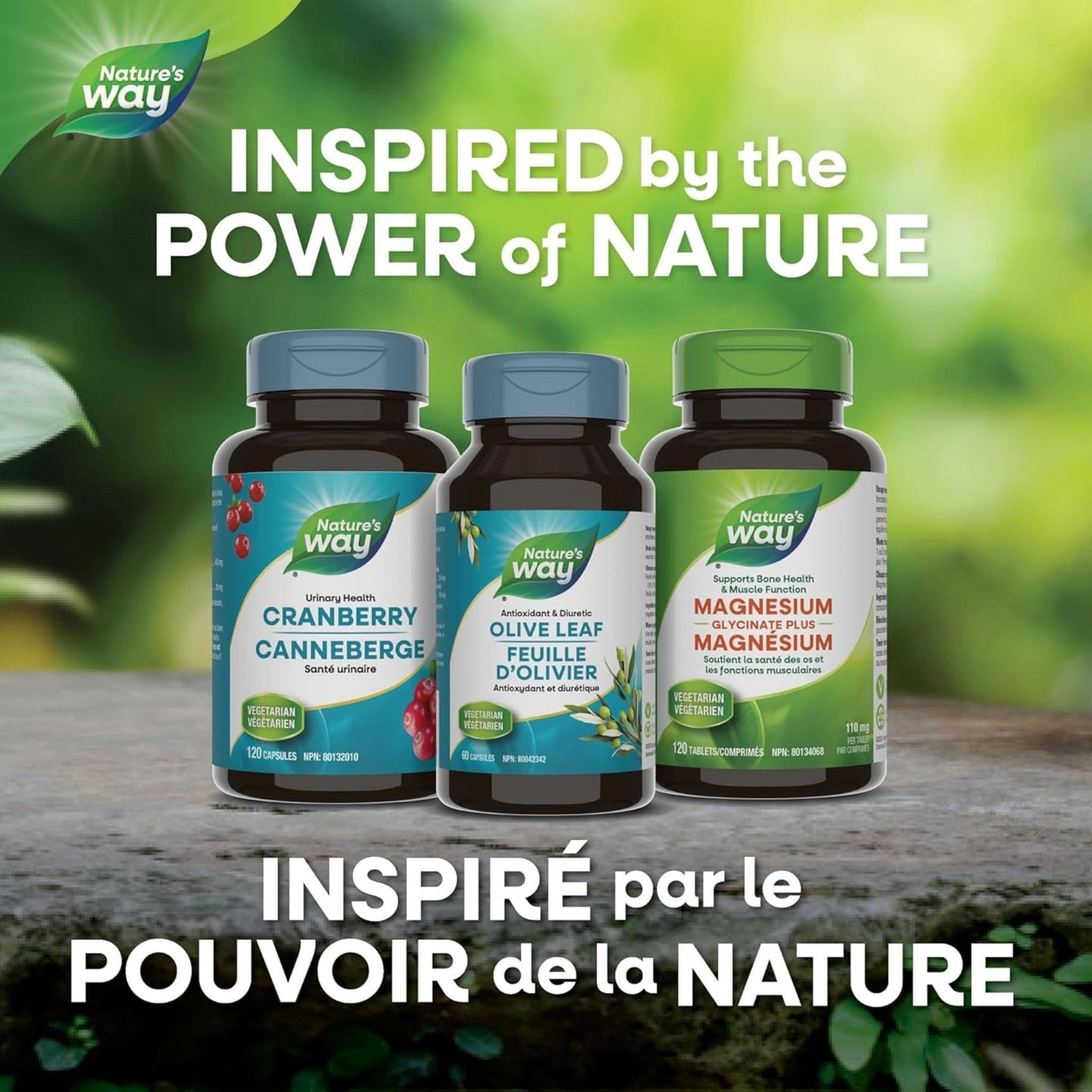 100 Vegetable Capsules | Natures's Way Olive Leaf