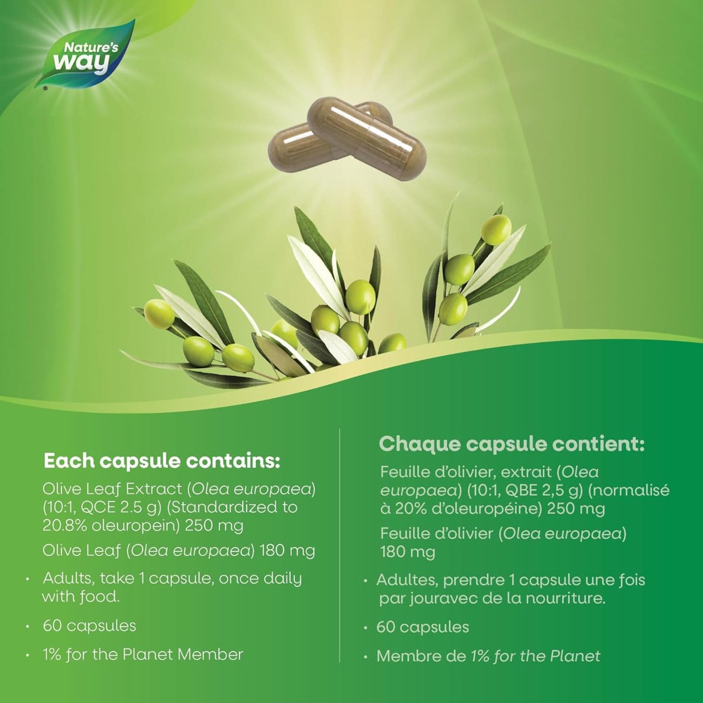 100 Vegetable Capsules | Natures's Way Olive Leaf