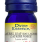 Divine Essence Laurel Leaf (Bay Laurel) Essential Oil 5ml
