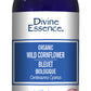 Divine Essence Wild Cornflower Floral Water 110ml