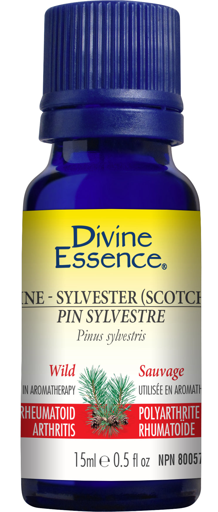 Divine Essence Scotch Pine Essential Oil 15ml
