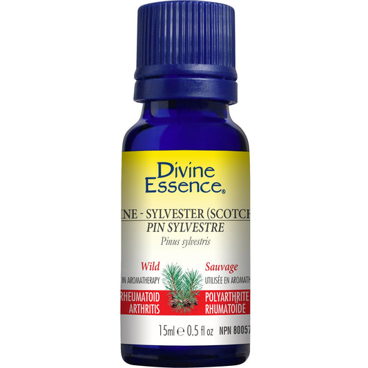 Divine Essence Scotch Pine Essential Oil 15ml