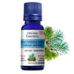 Divine Essence Nordika Forest Essential Oil Blend 15ml