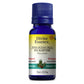 Divine Essence Maritime Pine Essential Oil 15ml