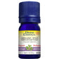 Divine Essence Wild Oregano Essential Oil 5ml