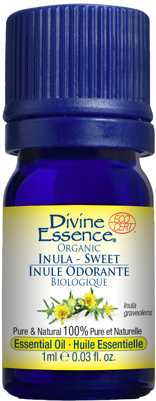 Divine Essence Sweet Inula Essential Oil 1ml