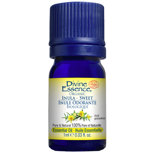Divine Essence Sweet Inula Essential Oil 1ml