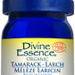 Divine Essence Larch Tamarack Essential Oil 5ml