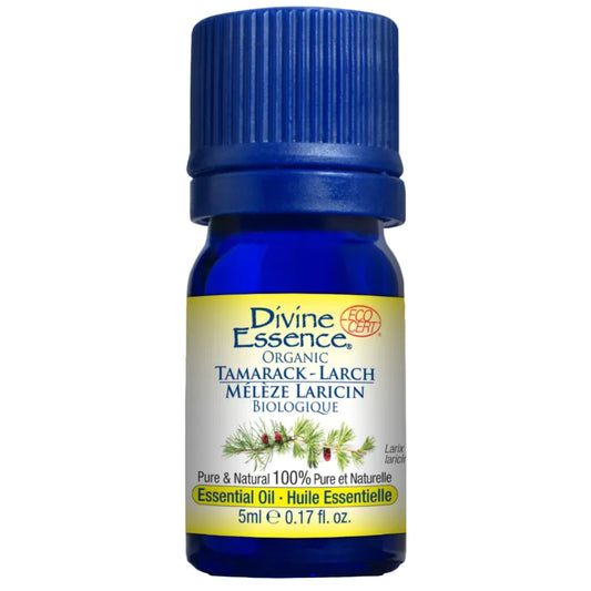 Divine Essence Larch Tamarack Essential Oil 5ml
