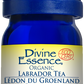 Divine Essence Labrador Tea Essential Oil 5ml