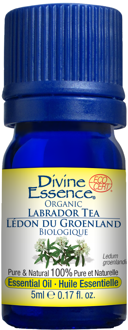 Divine Essence Labrador Tea Essential Oil 5ml