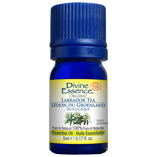 Divine Essence Labrador Tea Essential Oil 5ml