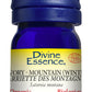 Divine Essence Mountain Savory Essential Oil 5ml