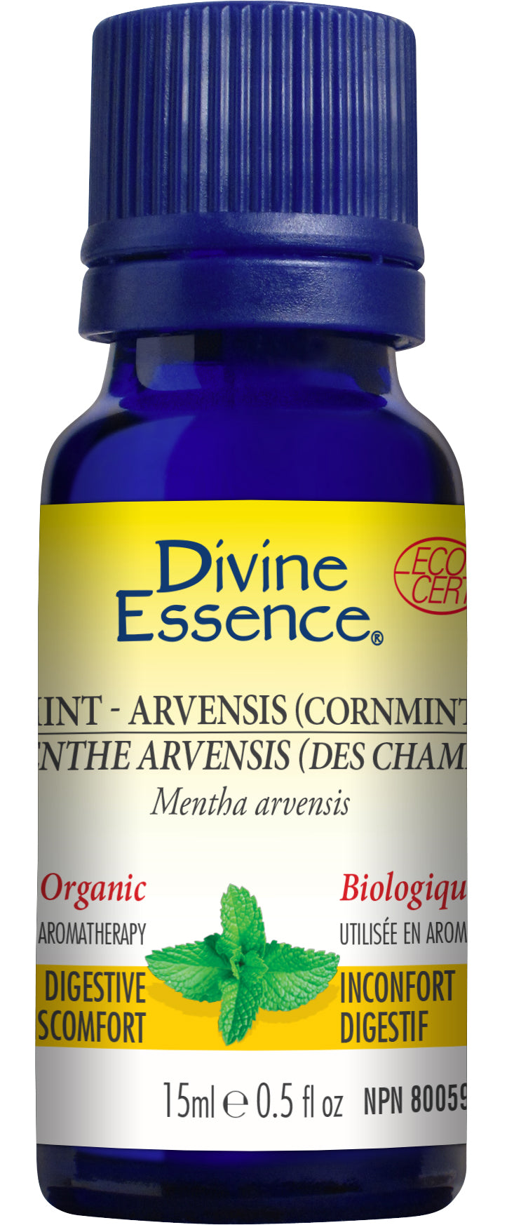 Divine Essence Cornmint (Mentha Arvensis) Essential Oil 15ml