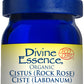 Divine Essence Cistus (Rock Rose) Essential Oil 5ml