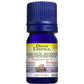 Divine Essence Geranium Bourbon Essential Oil 5ml