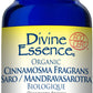 Divine Essence Saro (Cinnamosma Fragrans) Essential Oil 15ml
