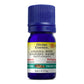 Divine Essence Angelica Root Essential Oil 5ml
