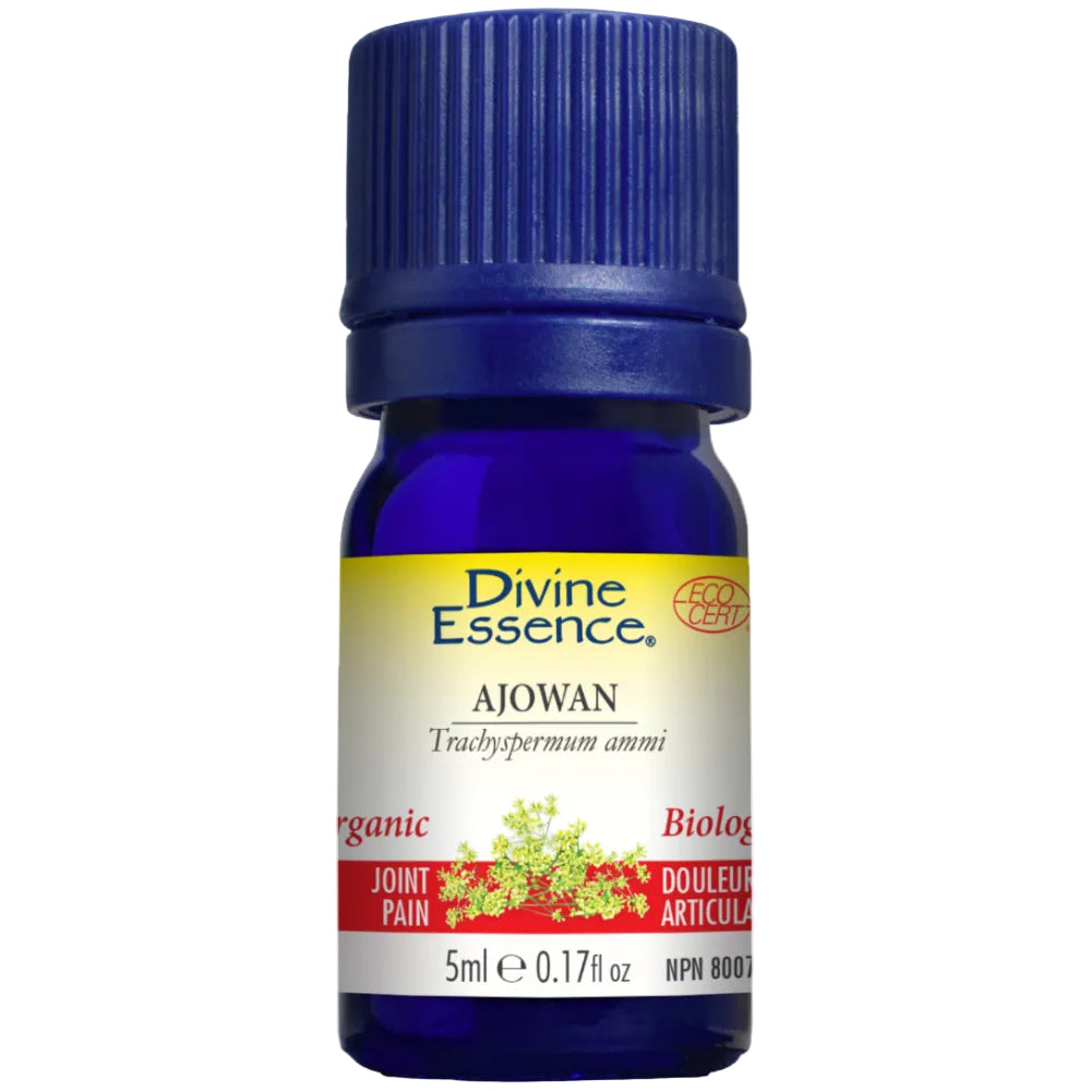 Divine Essence Ajowan Essential Oil 5ml
