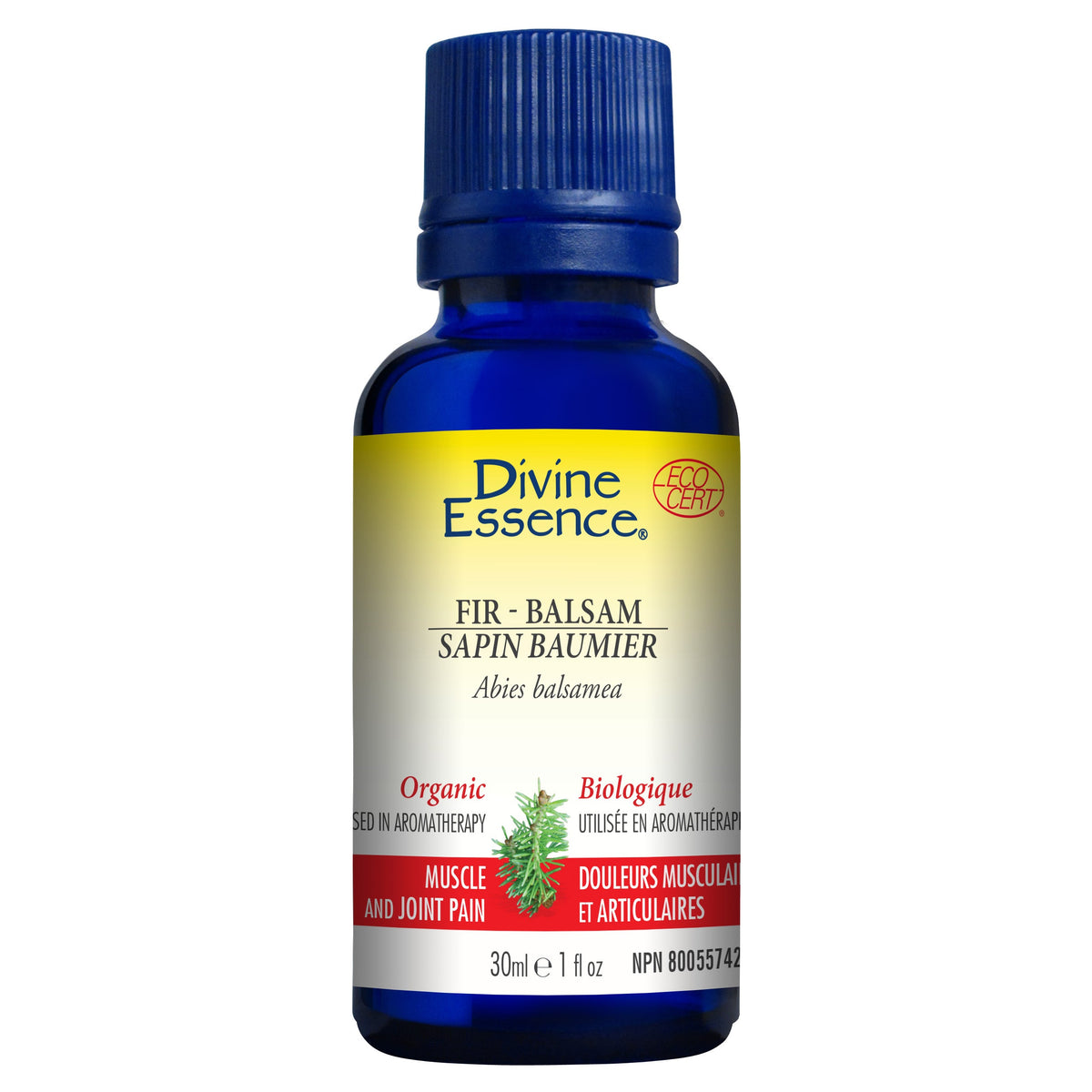 Divine Essence Fir Balsam Essential Oil 30ml