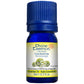 Divine Essence Galbanum Essential Oil 5ml