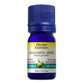 Divine Essence Palo Santo Essential Oil 5ml