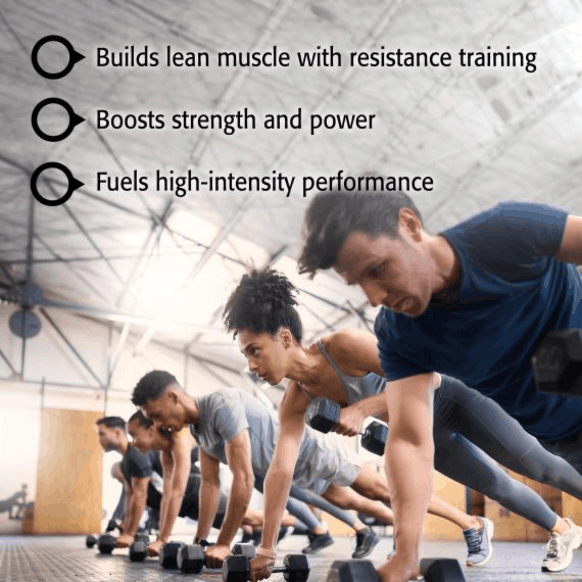 400g Unflavoured | New Roots Creatine Monohydrate Powder