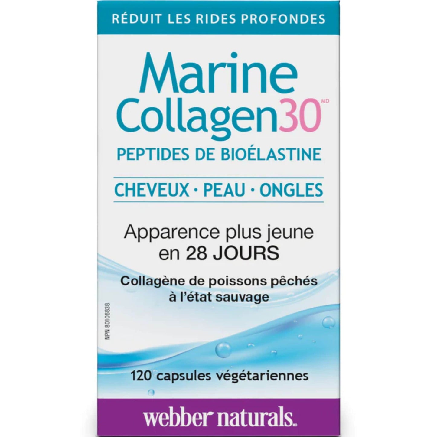 120 Vegetarian Capsules | Webber Naturals Marine Collagen30 for Hair, Skin and Nails 470mg Collagen/30mg Elastin / French