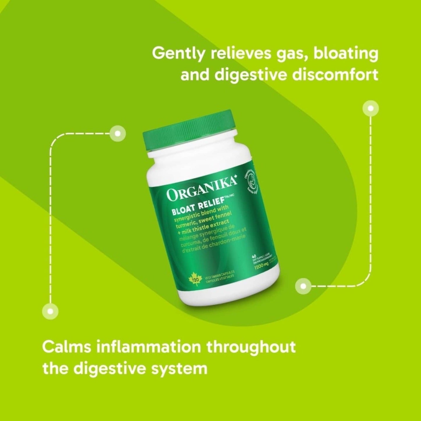 120 Vegetarian Capsules | Organika Bloat Relief 1200 mg