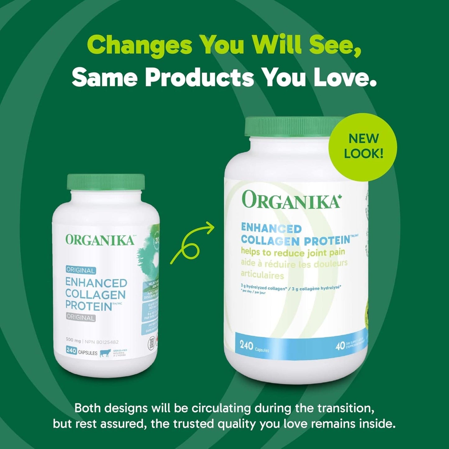 240 Capsules | Organika Enhanced Collagen Protein Original