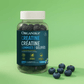 90 Gummies Blueberry Blitz | Organika Creatine