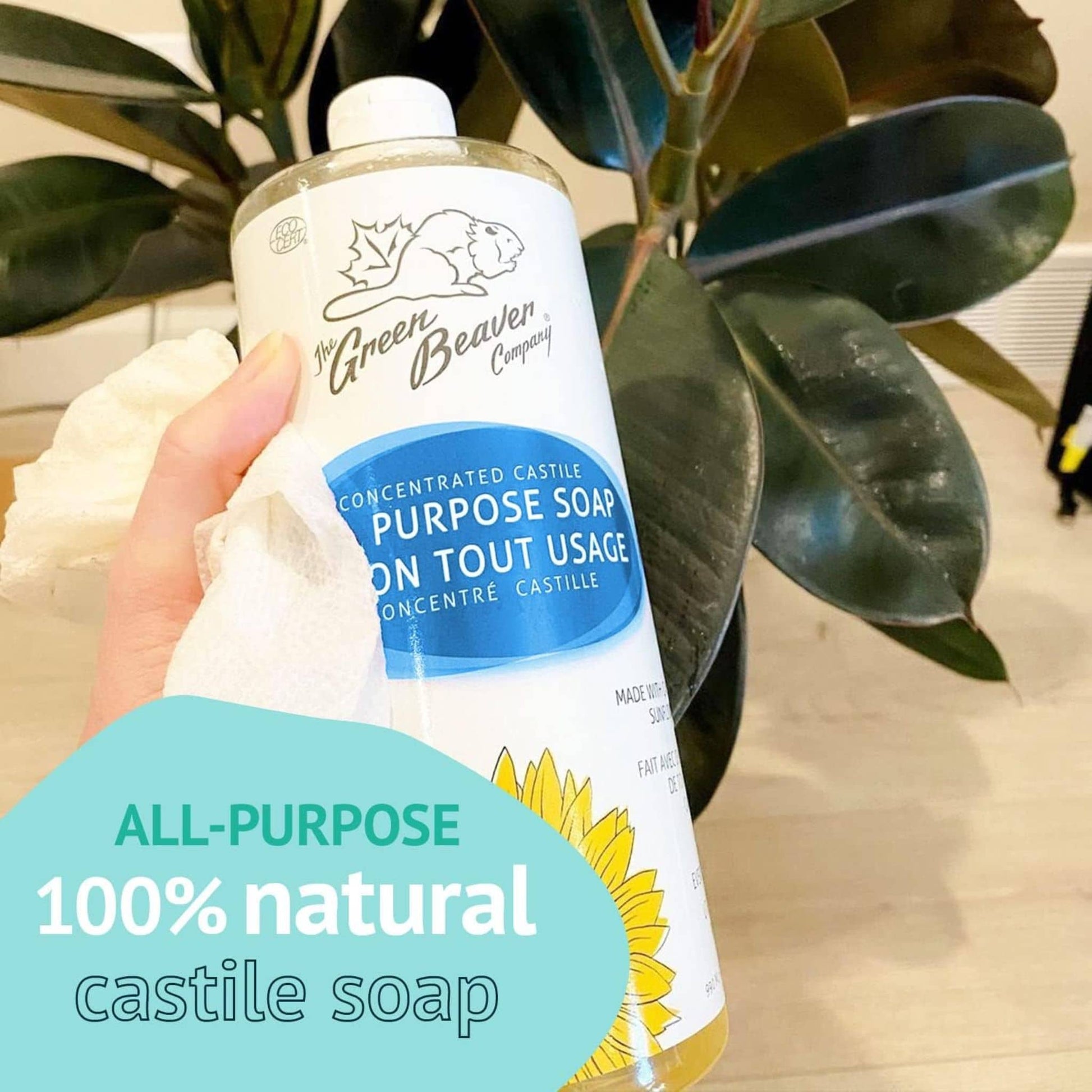 Frosty Mint, 1L | Green Beaver Sunflower Castille Liquid Soap