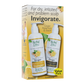 Herbal Glo Ginger INVIGORATE Shampoo & Conditioner, Value Pack (Shampoo + Conditioner)
