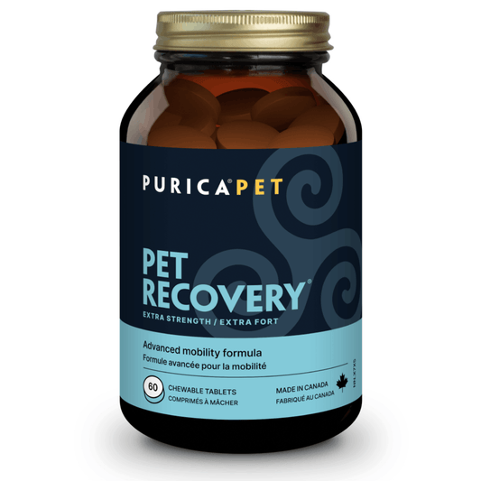 60 Chewable Tablets | Purica Pet Recovery Extra Strength