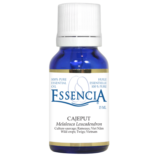 Essencia Cajeput Essential Oil