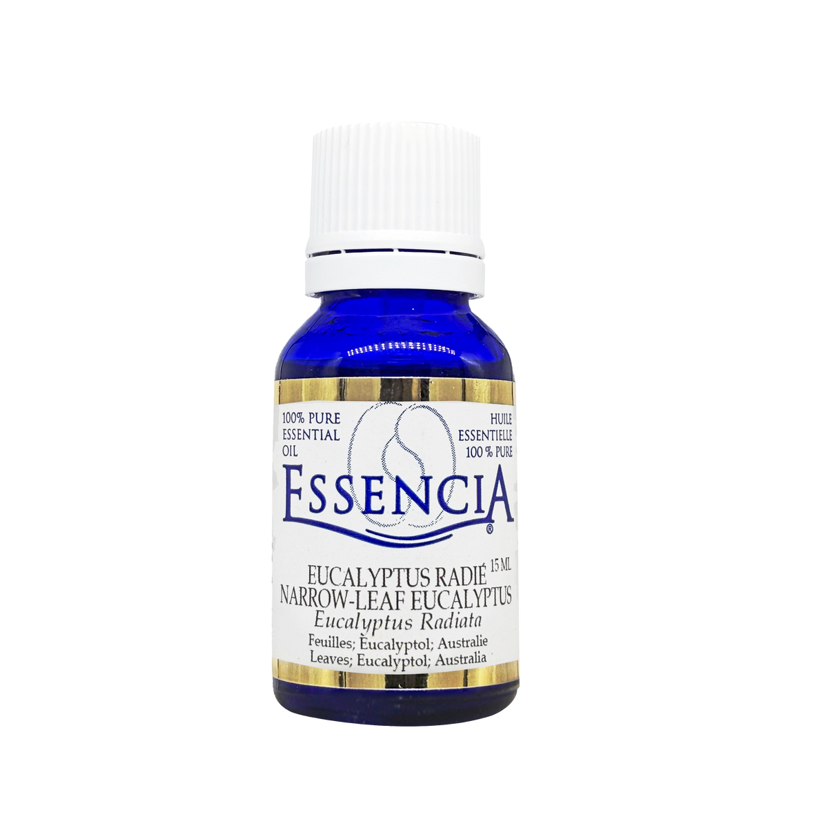 Essencia Eucalyptus Radiata Essential Oil
