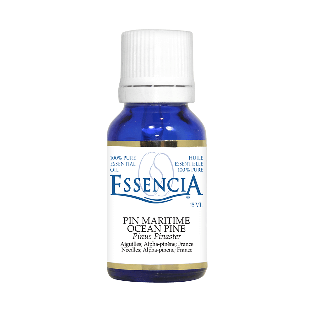 Essencia Maritime Pine Essential Oil