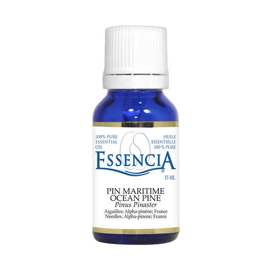 Essencia Maritime Pine Essential Oil