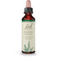 Bach Original Flower Remedy Agrimony 20ml