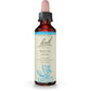 Bach Original Flower Remedy Beech 20ml