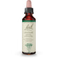 Bach Original Flower Remedy Centaury 20ml