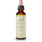 Bach Original Flower Remedy Chestnut Bud 20ml