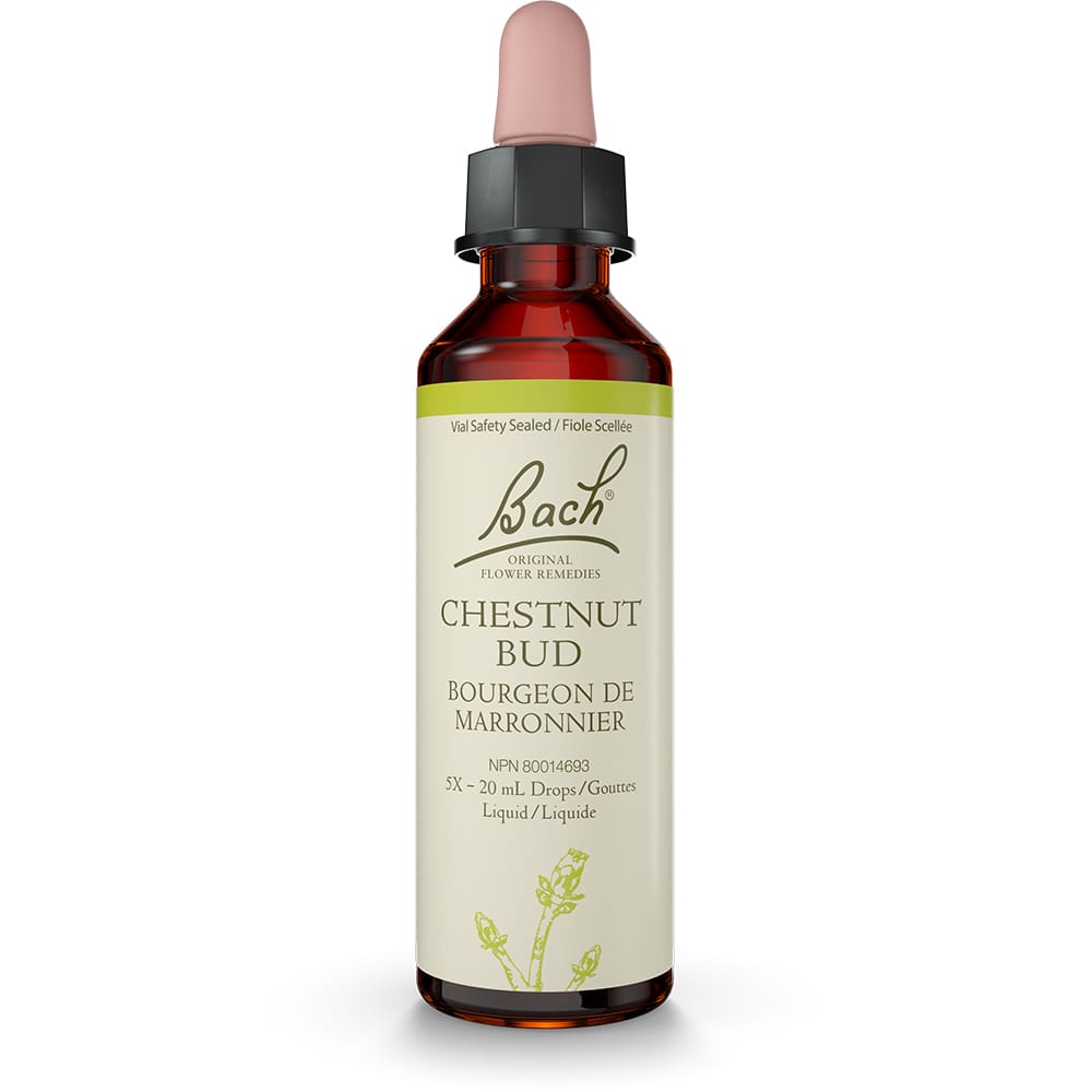 Bach Original Flower Remedy Chestnut Bud 20ml