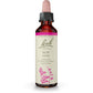 Bach Original Flower Remedy Elm 20ml