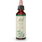 Bach Original Flower Remedy Holly 20ml