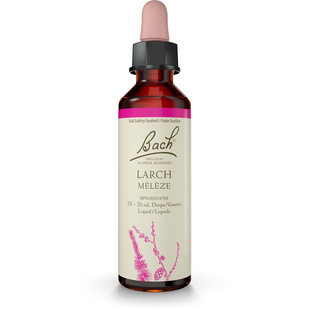 Bach Original Flower Remedy Larch 20ml