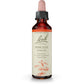Bach Original Flower Remedy Mimulus 20ml